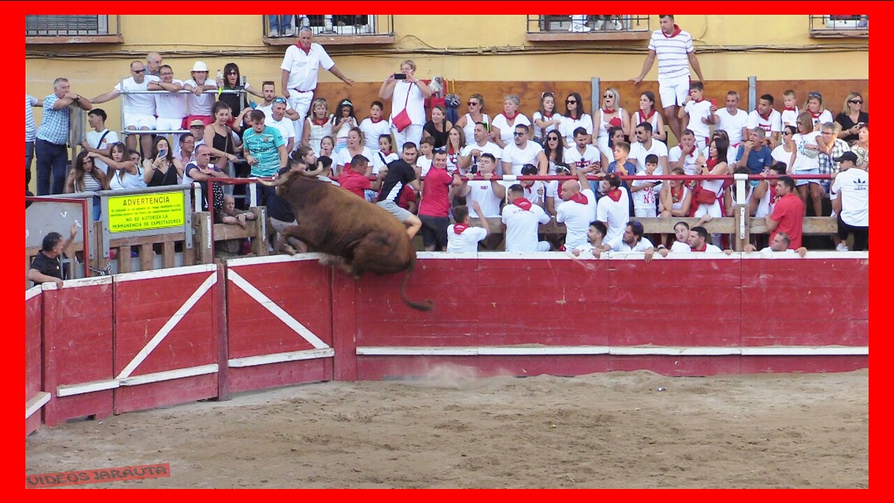 CORTES ( NAVARRA ) TARDE VACAS PLAZA ( MARTES 26 SEPTIEMBRE 2023 ) GANAD.ARRIAZU