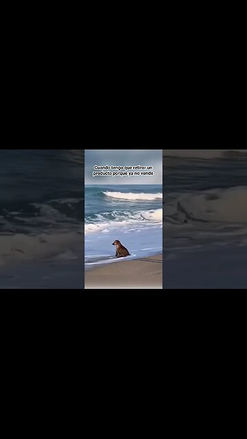 📉 RETIRAR PRODUCTOS DE AMAZON 📉 (2023) #shorts