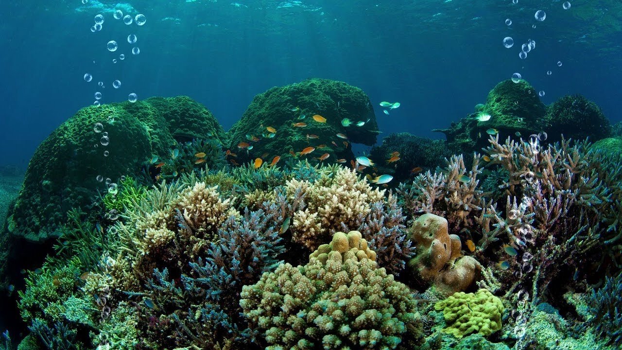 The sea waves are beautiful seabed. Relaxation rest