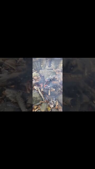 #healingjourney #lifehacks #soulhealing #shortstrending #shorts #mountains