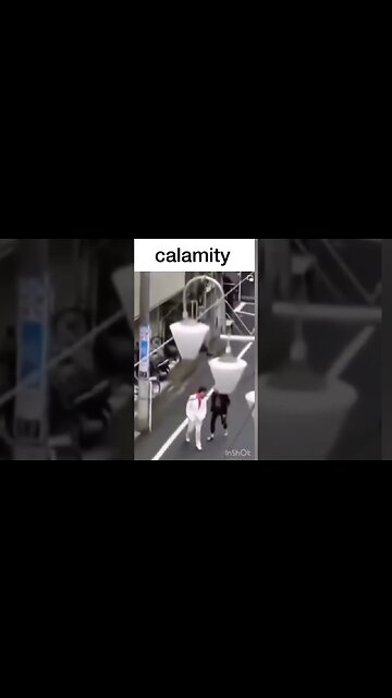Calamity!? #jojosbizzareadventure #wonderofu #madeinheaven