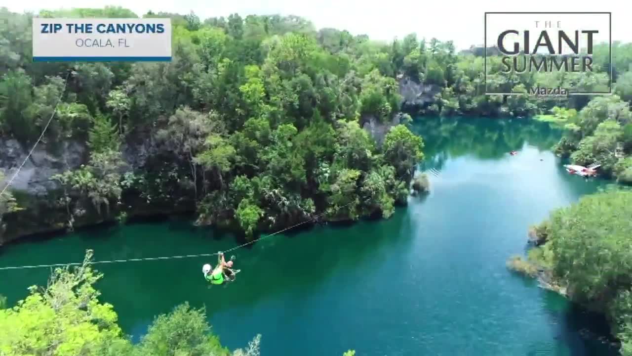 Giant Summer Adventure | Morning Blend