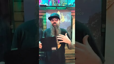 Back in Black Live at Noon Today