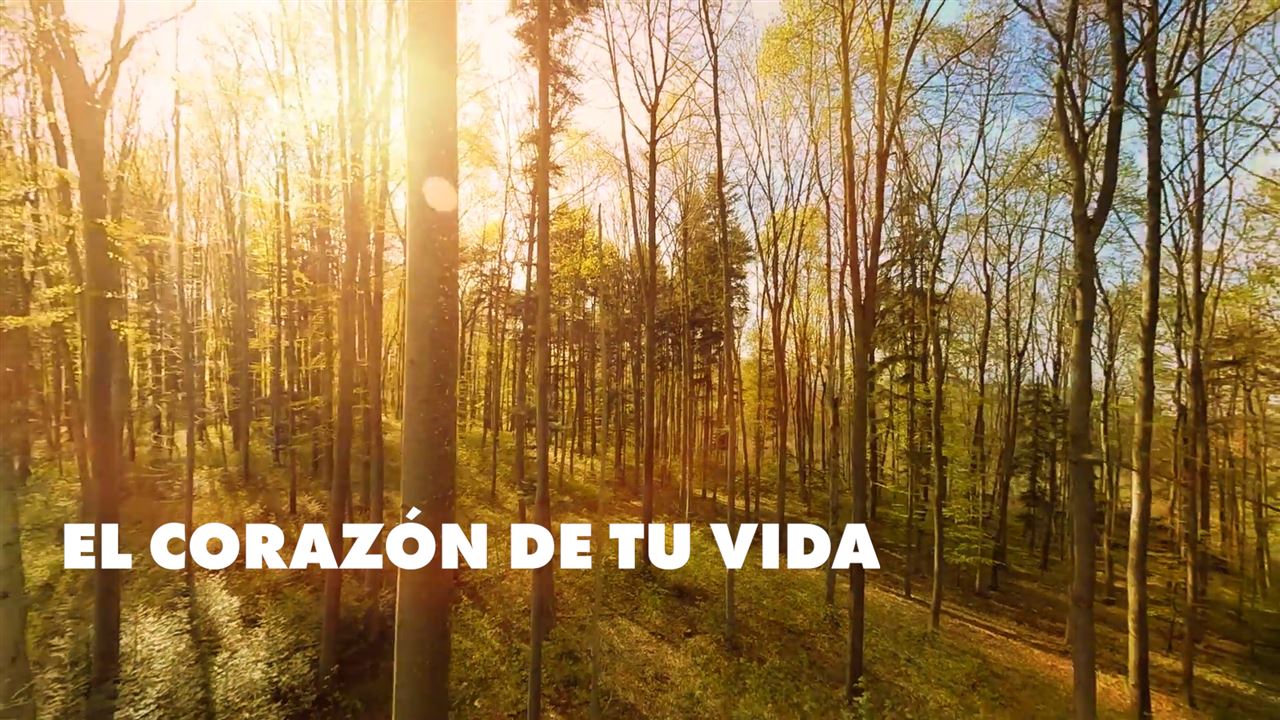 ¿Cuánto tiempo tienes que estar en la naturaleza si quieres tener buena salud?