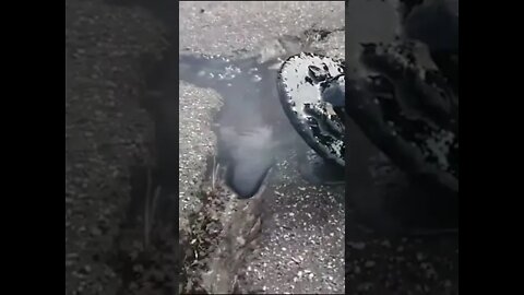 Filling in cracks in the road