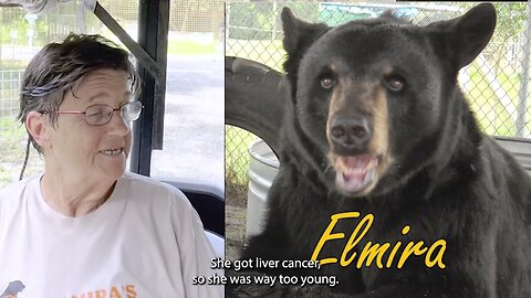 Robin Greenwood of Elmira's Wildlife Sanctuary