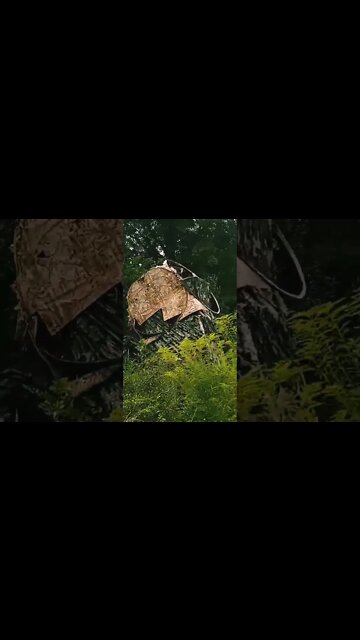 The Old Hunting Blind