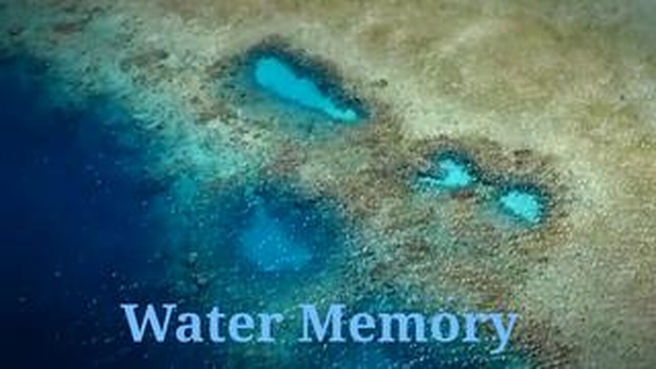 Water Memory