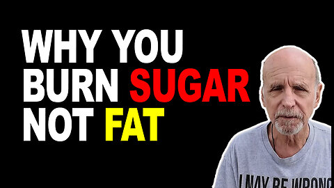 HOW does our body KNOW whether to BURN FAT OR SUGAR at any given time?