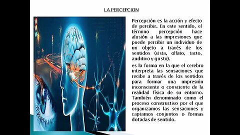 Portafolio Proceso Perceptivo