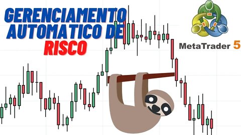 Gerenciamento automatico de risco