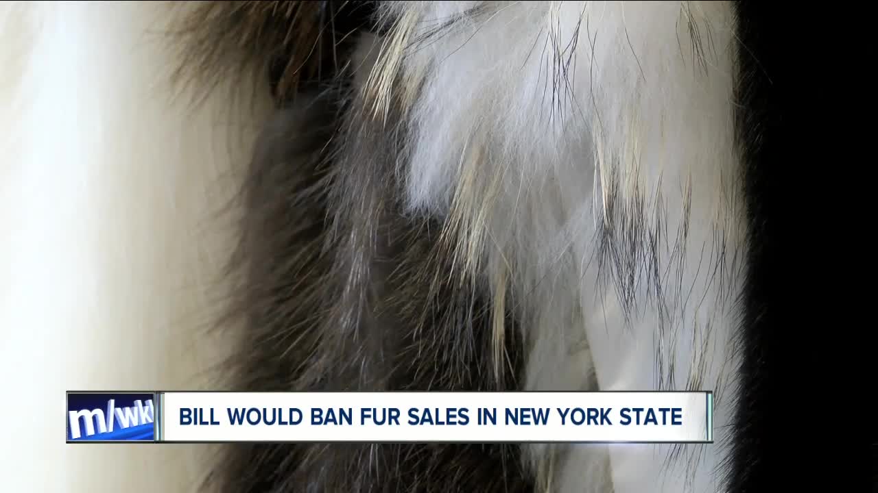 New proposal could ban the manufacture of fur in New York State