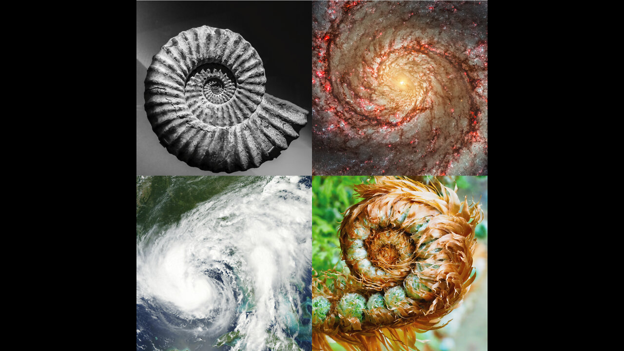 Fibonacci Sequence