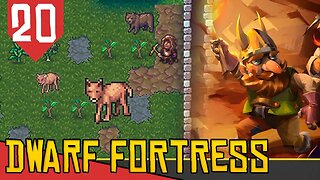 FURTO DE ANIMAIS - Dwarf Fortress Nub #20 [Gameplay PT-BR]