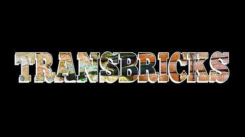 TRANS-BRICKS and other trans stuff !