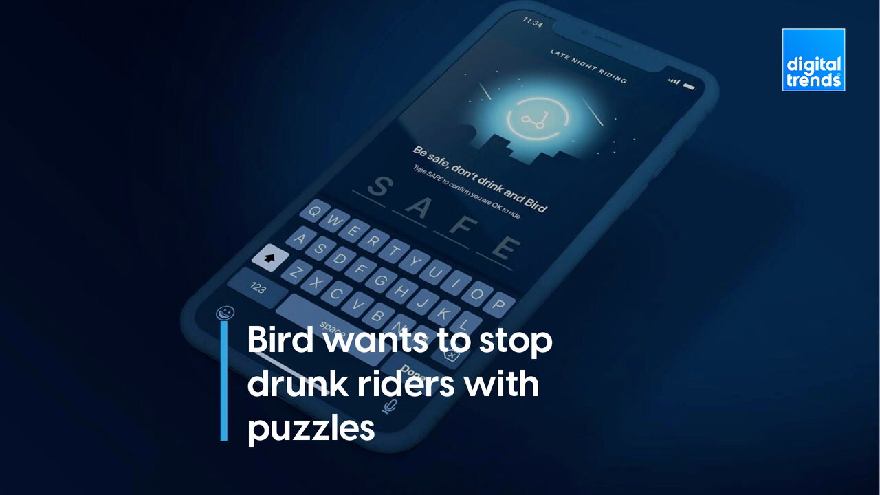 Bird wants to use puzzles to stop drunk riders