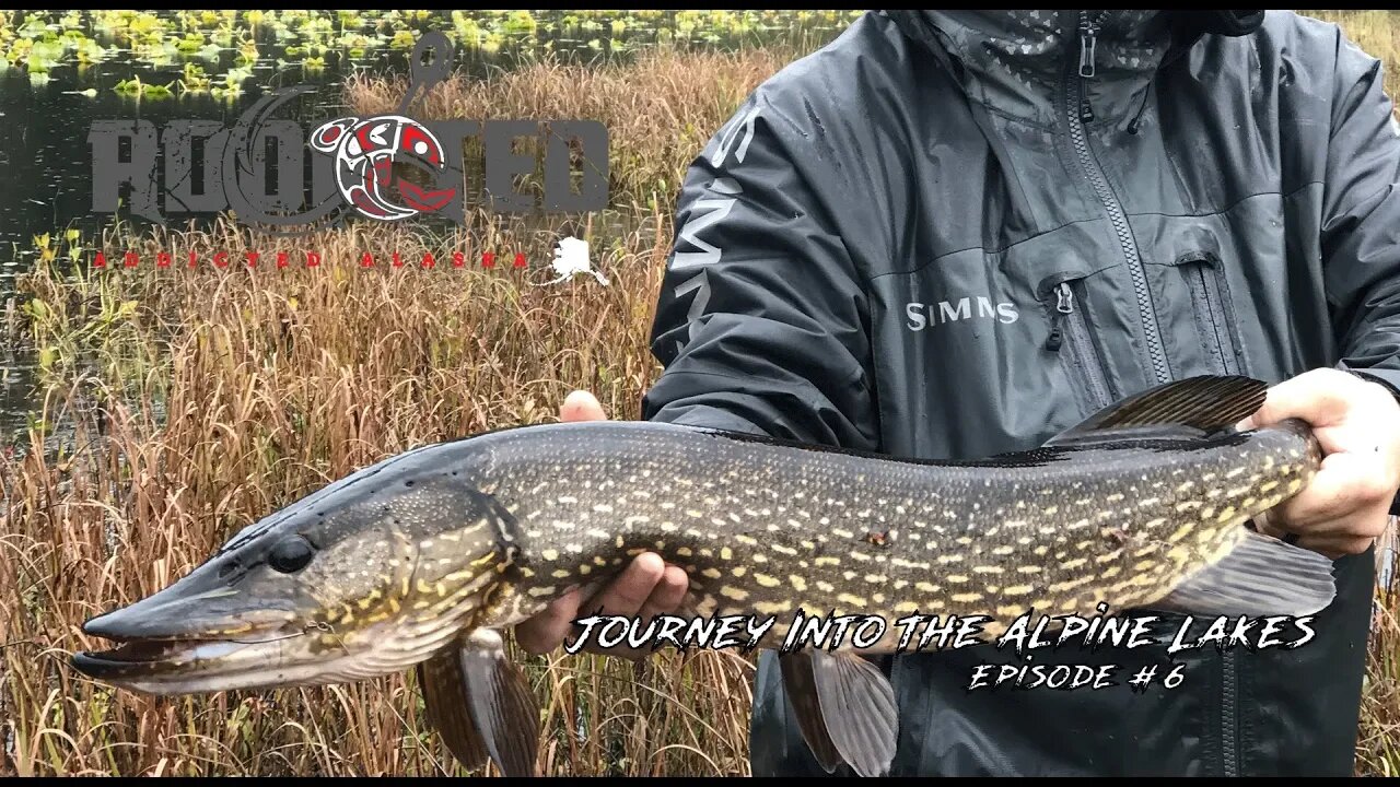 Alaska Pike Fishing | The Alpine Alaskan Pike Lakes Topwater Fishing | Addicted Alaska Ep.#6