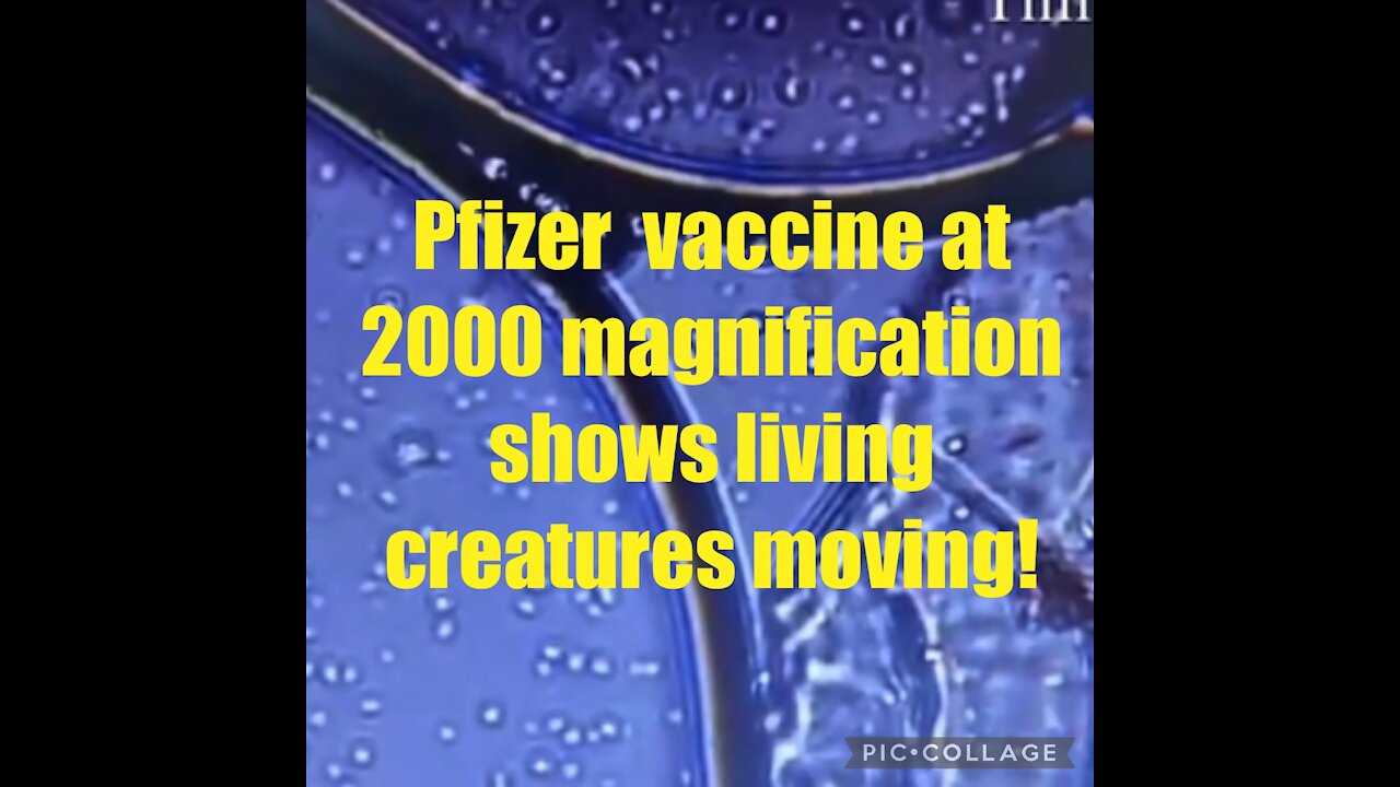 “Creature” seen in a magnified sample of Pfizer jab!