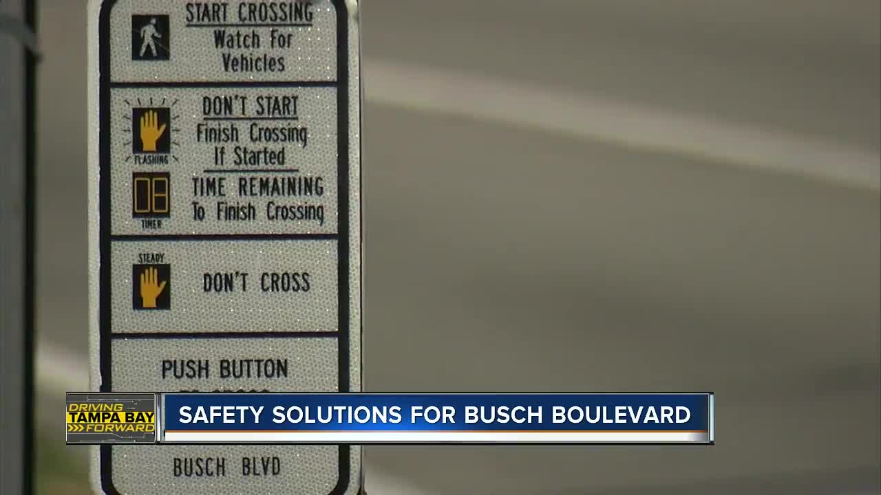 Some Tampa residents concerned about busy Busch intersection