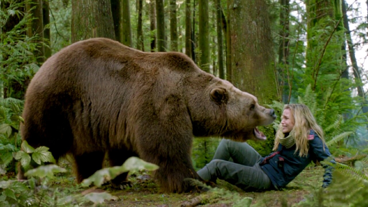 BEAR ATTACK IN THE FOREST