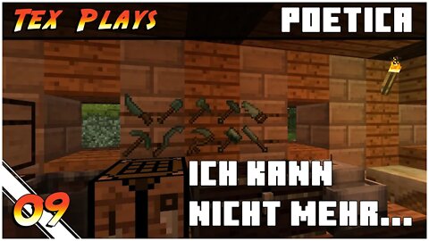 Minecraft Poetica (Terrafirmacraft 1.12) | "Ich kann nicht mehr..." [09]