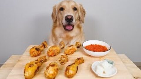 Dog Reviews fried chicken