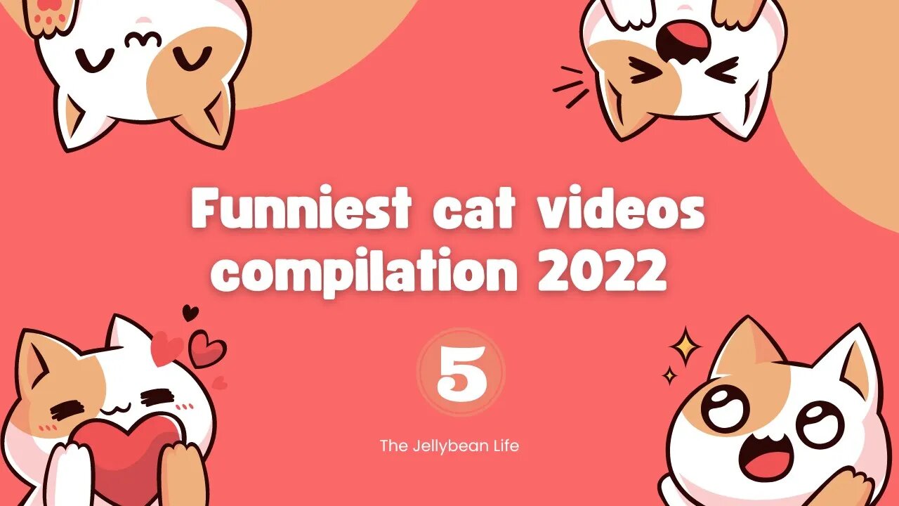 Funniest Cat Videos Compilation 2022😺 | Cats Can Make you Laugh within Minutes😹| Part 5