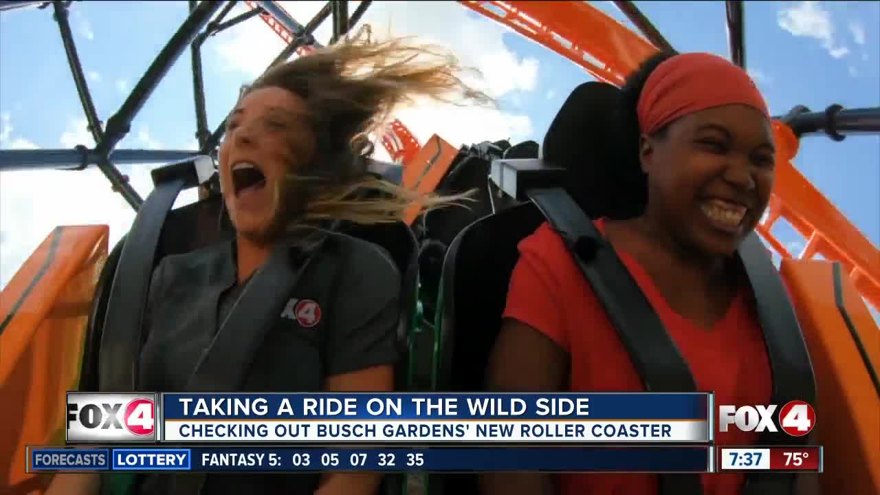 New Busch Gardens launch coaster hits 62 miles per hour