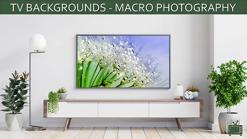 TV Background Macro Photography Screensaver TV Art Slideshow / No Sound