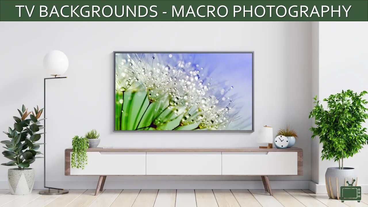 TV Background Macro Photography Screensaver TV Art Slideshow / No Sound