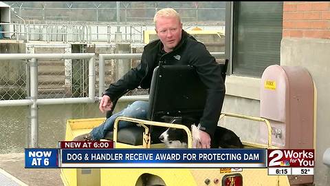 'Ellie' the 'Dam Dog' receives award from Army Corps