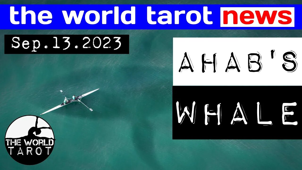 THE WORLD TAROT NEWS: Zoologist Still Looking For Plesiosaurus + The Fight For Inheritance Continues