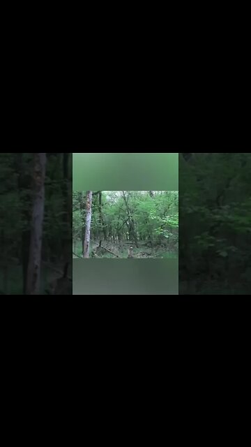 Unexplained Things Filmed In The Deepest Parts Of The Woods #shorts #trending