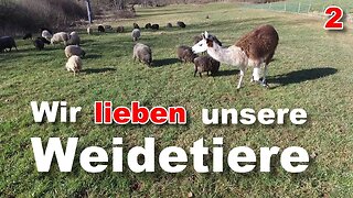 Wir lieben unsere Weidetiere.