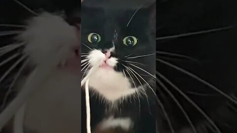 My rope!