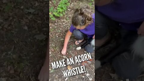 Easy Acorn Whistle! #shorts #whistle #acorn