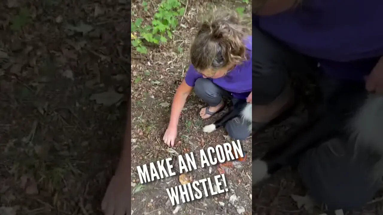 Easy Acorn Whistle! #shorts #whistle #acorn