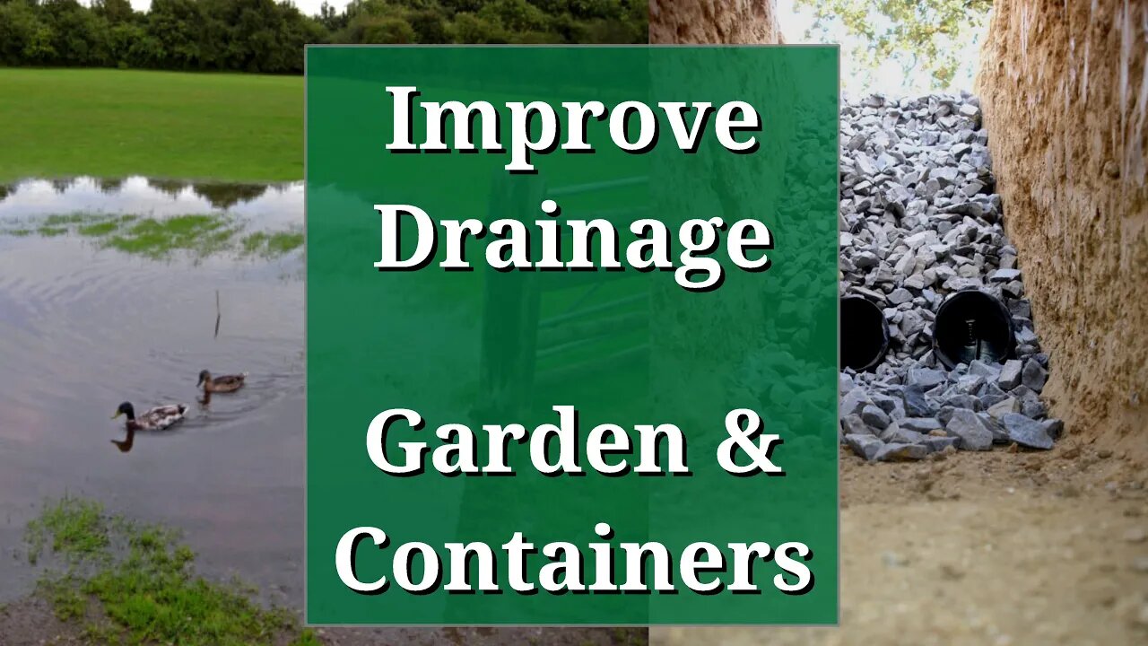 Improve Drainage in the Garden and Containers