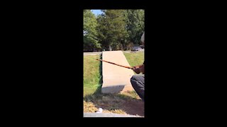 Ski Ramp Trick Shot