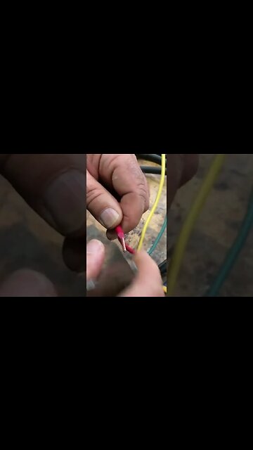 How to Strip Wire #shorts