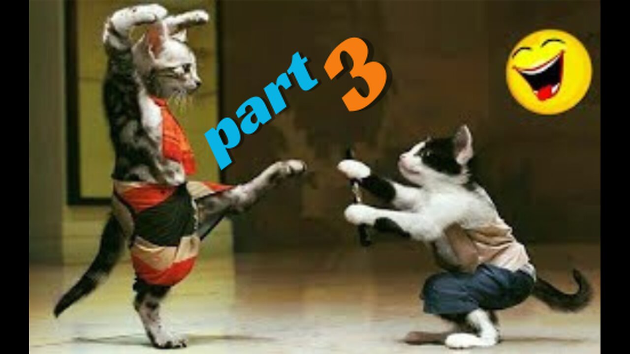 FUNNIEST CATS AND DOGS 2024 😂 _ NEW FUNNY ANIMAL VIDEOS #PetValleyy