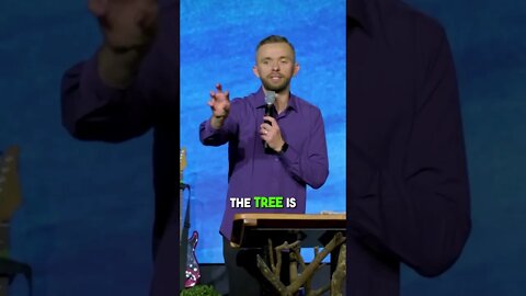 You Don’t See The Roots 🫣