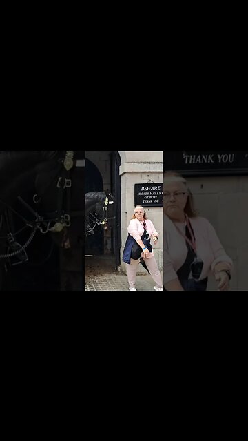 She was almost lunch #horseguardsparade