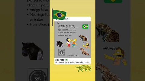 🇧🇷 Amigo da onça