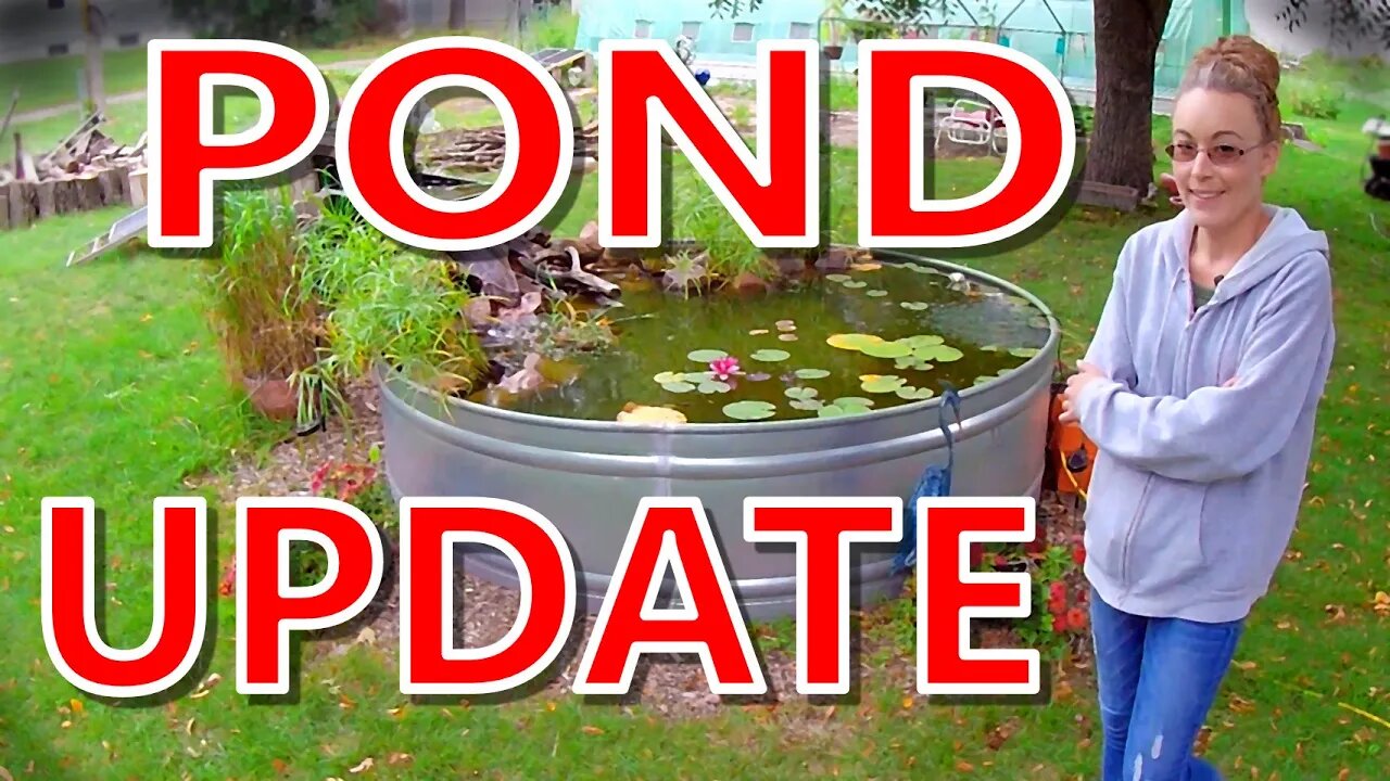 Solar Pond Update!!!!