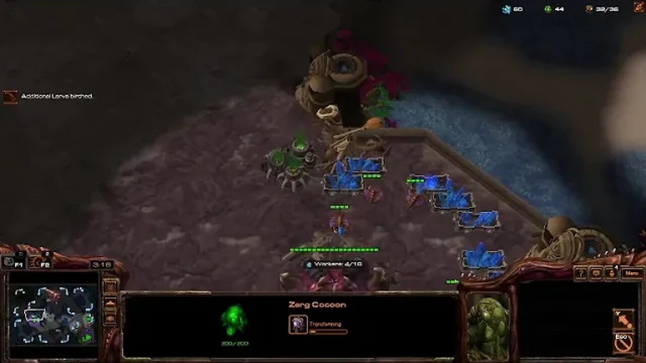 Session 4: StarCraft II (1v1 Matchmaking as Random)
