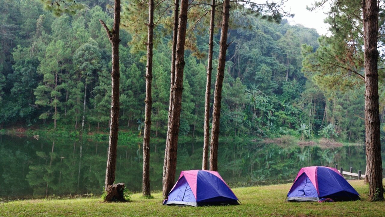 Ontario Parks Are Cancelling Reservations & Have Shut Down Overnight Camping