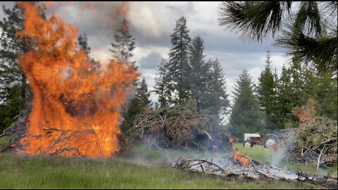 A good old Hillbilly Country burn day!