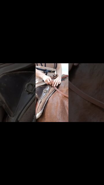 Beautiful | #funyum #shorts #shortsfeed