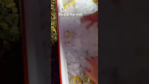 #thatsgold